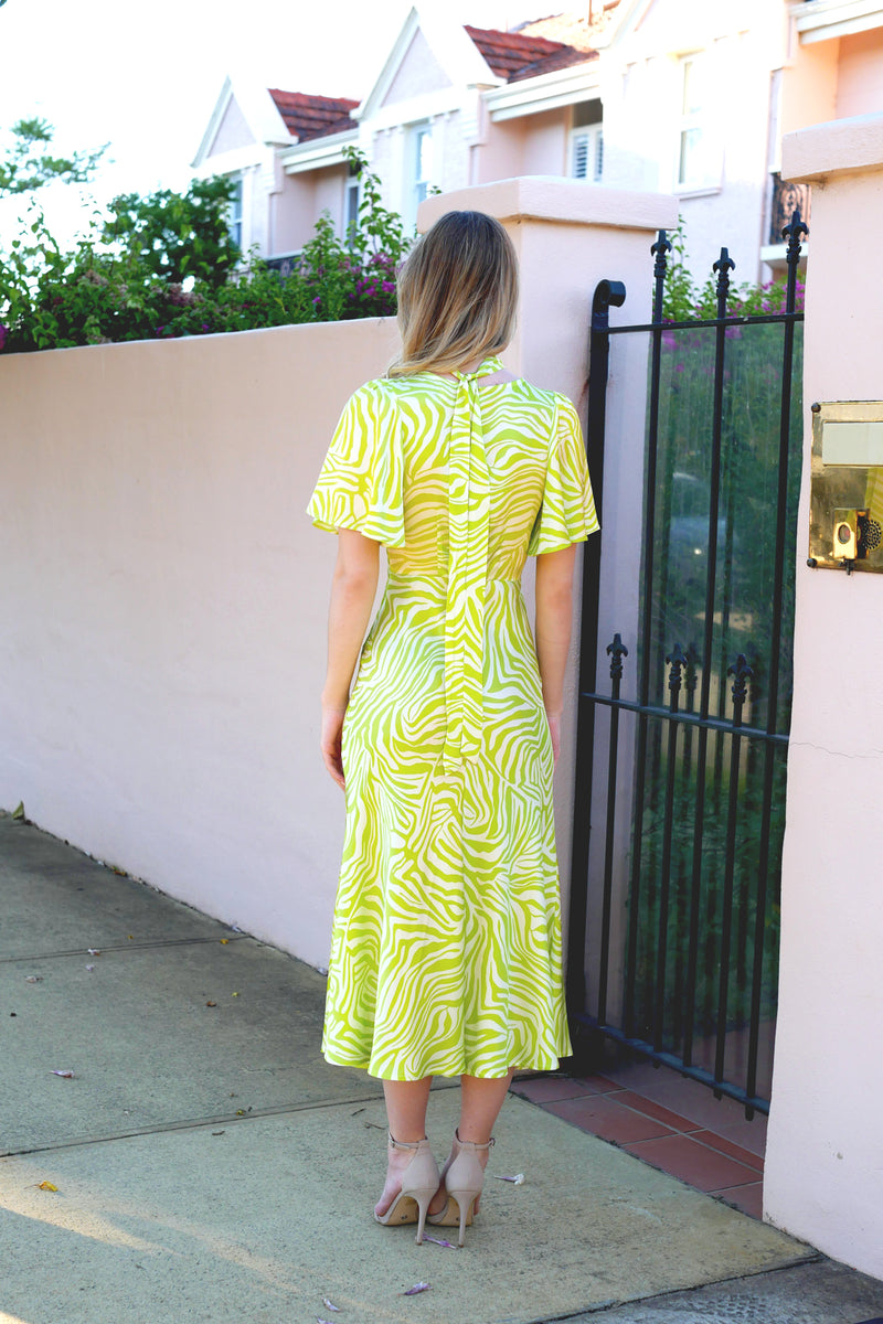Indiana Dress - Lime Zebra